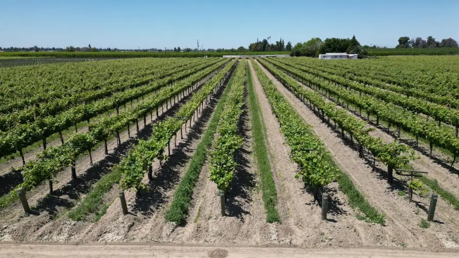 11250 E Dinuba Avenue, Selma, CA 93662 - #3