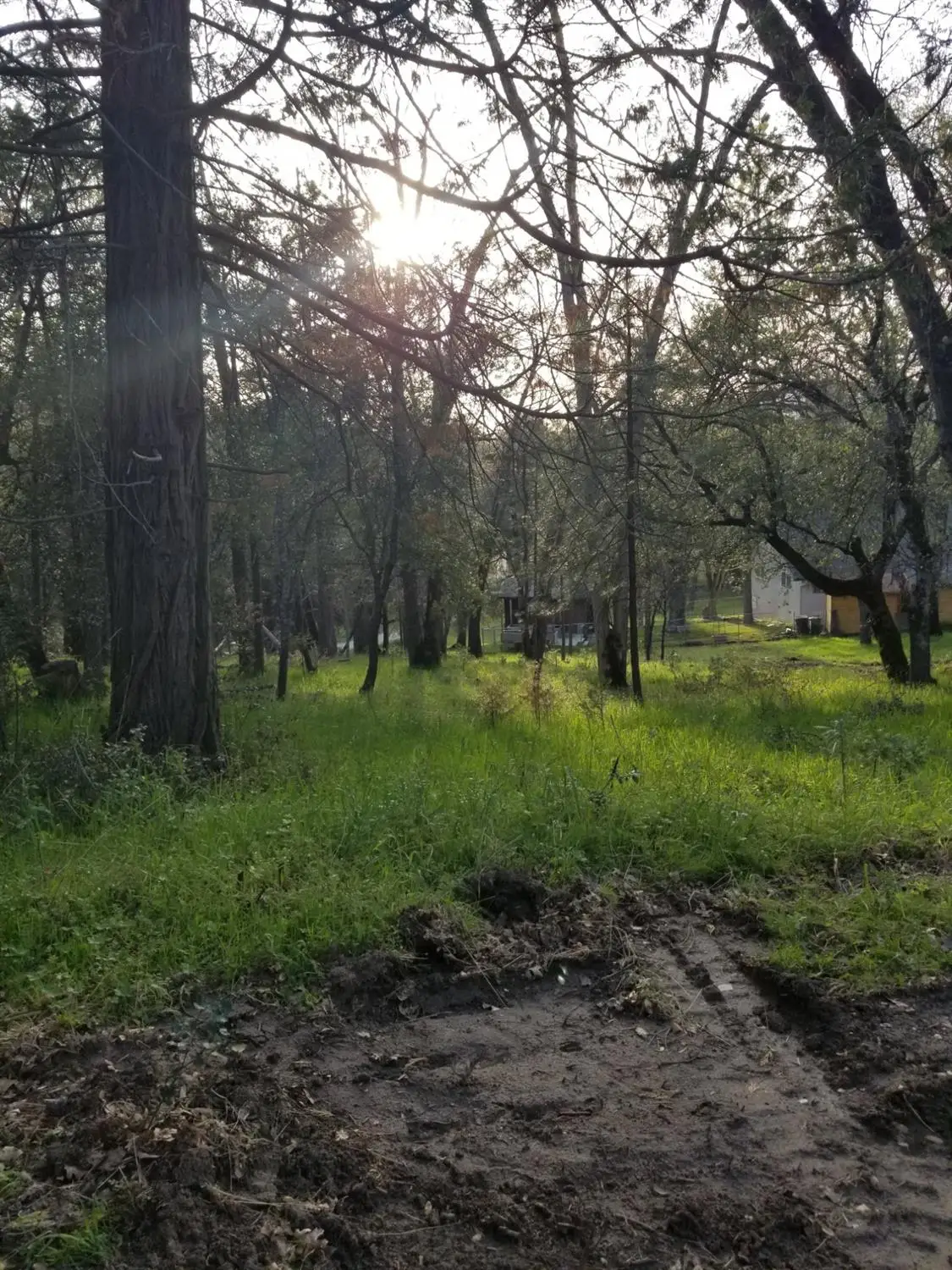 1 Oak Lane-apn 057-310-016 Lane, Oakhurst, CA 93644 - Image #1