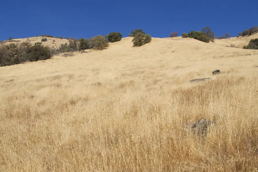 0 Crane Lane, Yokuts Valley, CA 93675 - Image #3