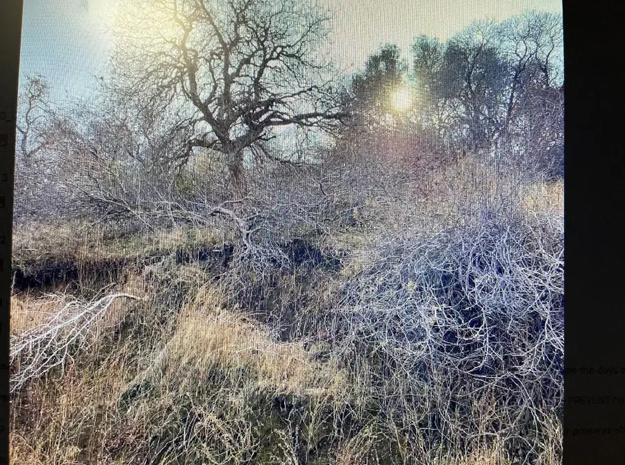 0 Ruth Hill Rd, Yokuts Valley, CA 93675 - Image #3