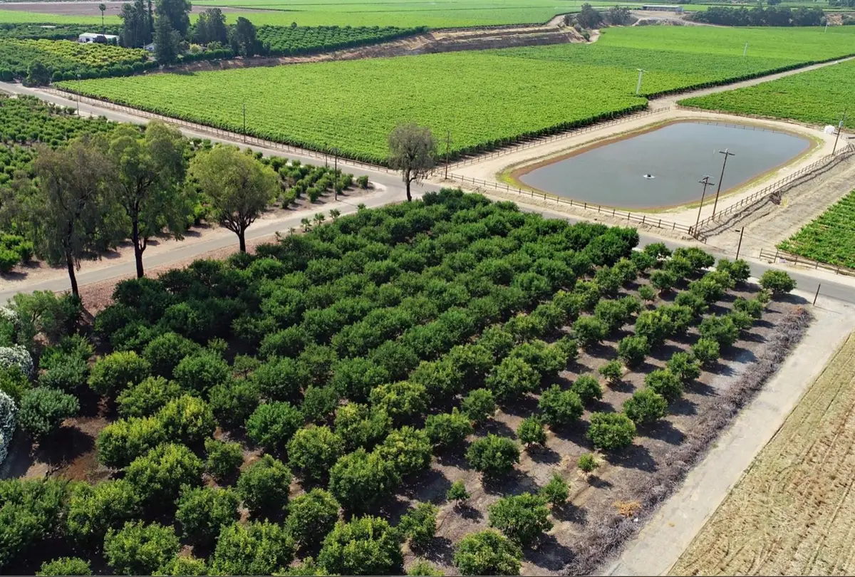 5139 Jim Savage Road, Reedley, CA 93654 - Image #1