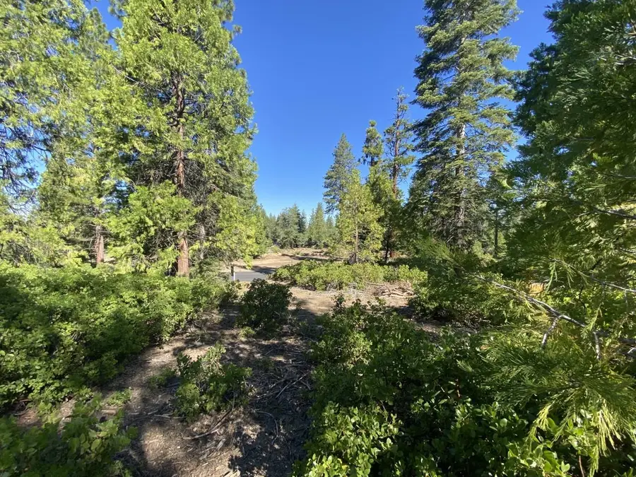 42437 Bretz Point Lane, Shaver Lake, CA 93664 - Image #2