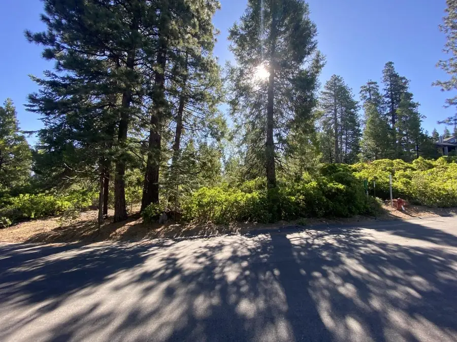 42437 Bretz Point Lane, Shaver Lake, CA 93664 - Image #3