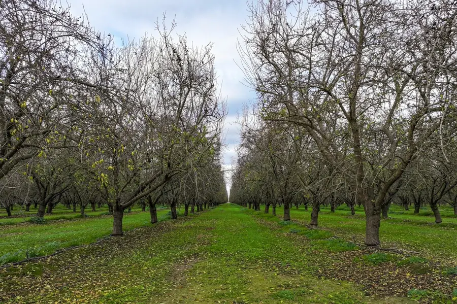 0 Kimberlina Road, Wasco, CA 93280 - Image #2