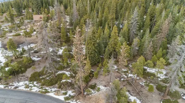 39897 Fawn Lilly, Shaver Lake, CA 93664