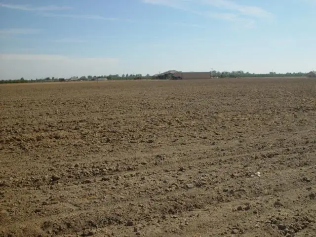 1 Road 18 3/4, Chowchilla, CA 93610 - #1