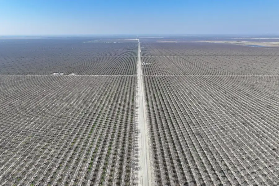 0 Hwy 43, Allensworth, CA 93219 - Image #3