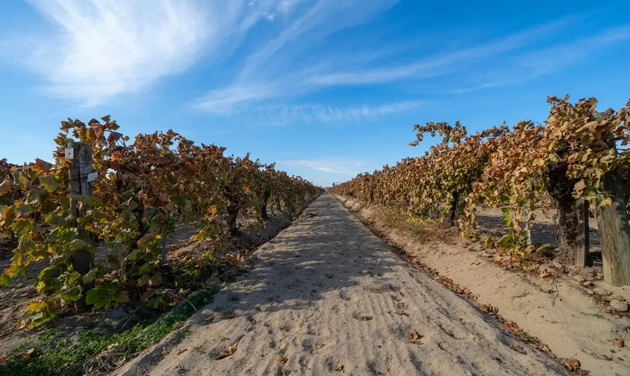 8139 S Kenneth Avenue, Fowler, CA 93625 - Image #2