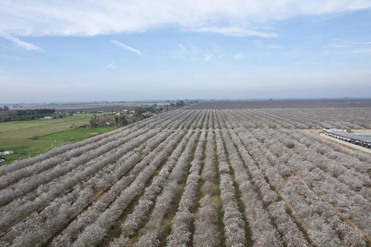 0 Apn 029-190-022-000, Madera, CA 93637 - #1