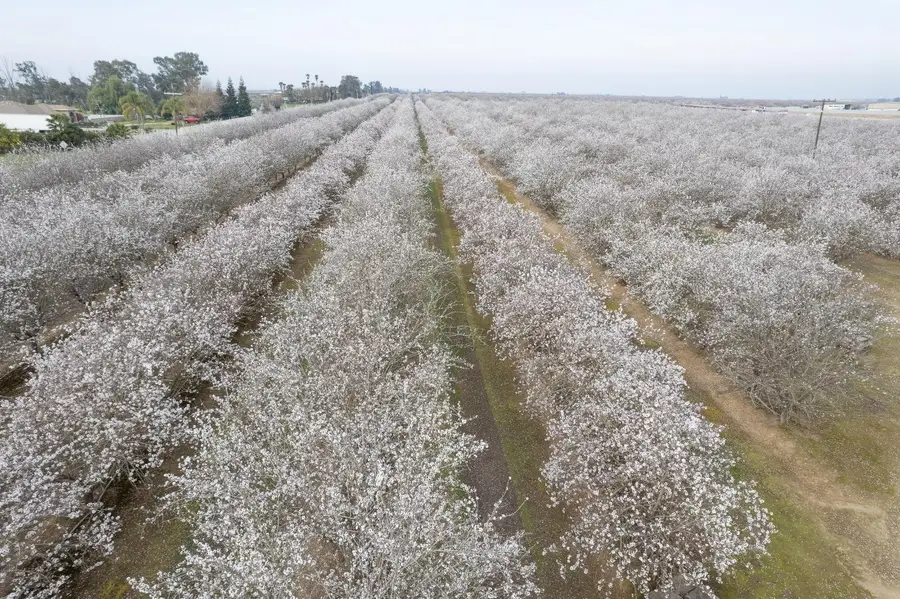 0 Apn 029-190-022-000, Madera, CA 93637 - #3