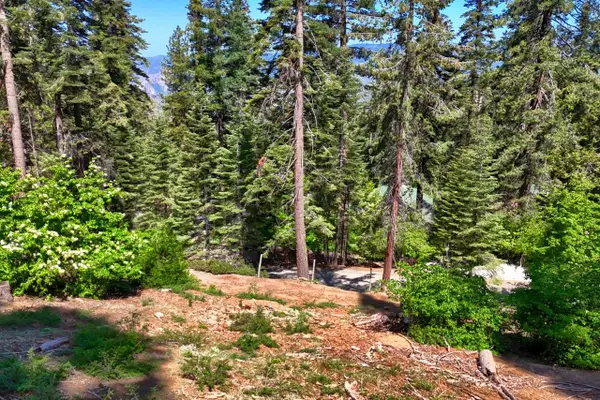 7420 Henness Ridge Road, Yosemite West, CA 95389