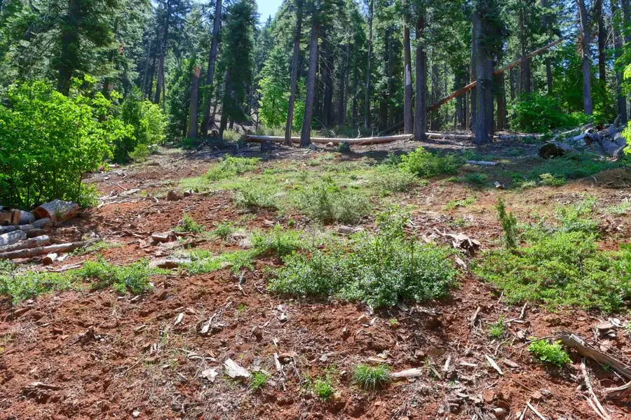 7420 Henness Ridge Road, Yosemite West, CA 95389 - Image #3