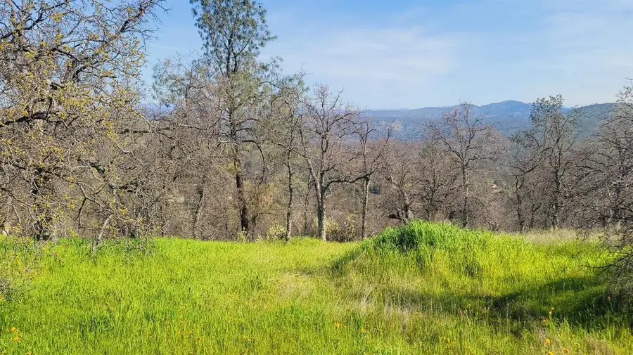 222 Big River Way, Coarsegold, CA 93614 - Image #2