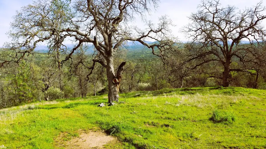 222 Big River Way, Coarsegold, CA 93614 - Image #3