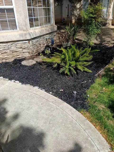 9899 N Backer Avenue, Fresno, CA 93720 - Image #3