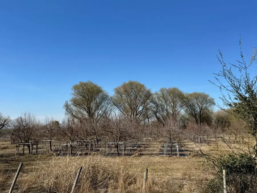 5989 S Inland Drive, Stockton, CA 95206 - Image #3