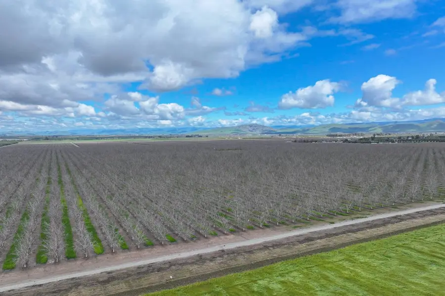 18995 Avenue 232, Lindsay, CA 93247 - Image #2