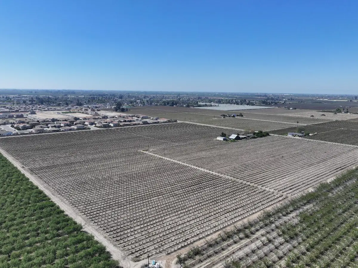 6350 S Armstrong Avenue, Fowler, CA 93625 - Image #1