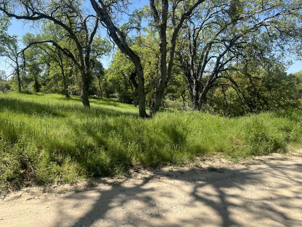 0 Veater Ranch Rd, Coarsegold, CA 93614 - Image #1