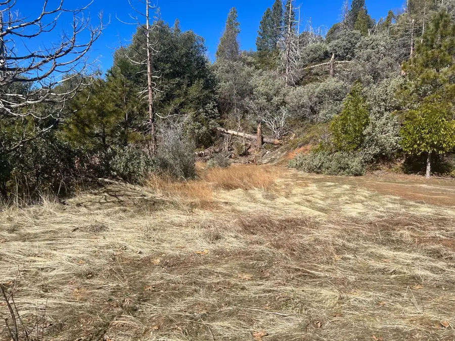 6225 Old Mill Road, Mariposa, CA 95338 - Image #2