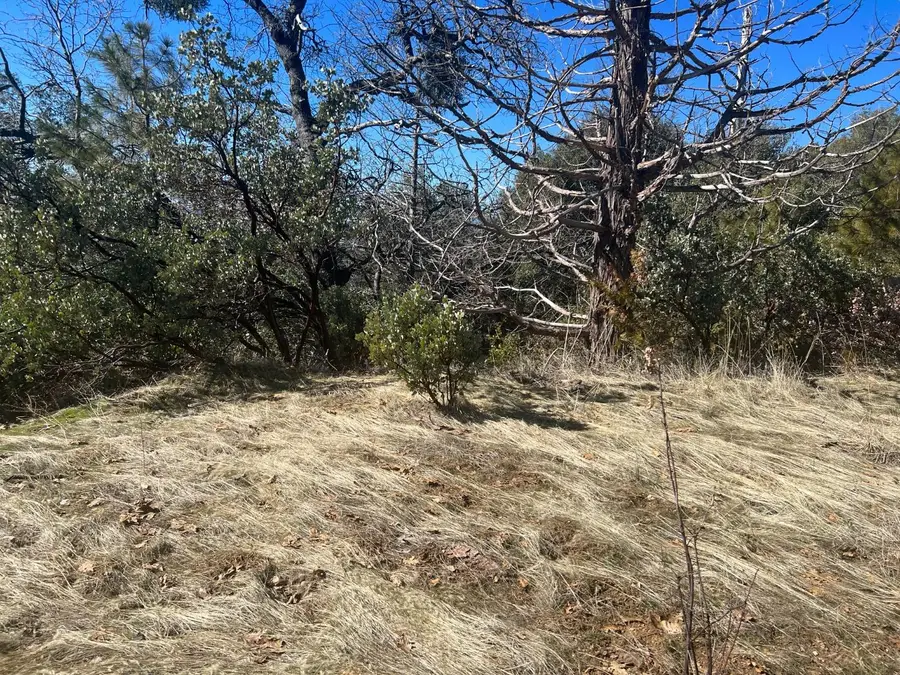 6225 Old Mill Road, Mariposa, CA 95338 - Image #3