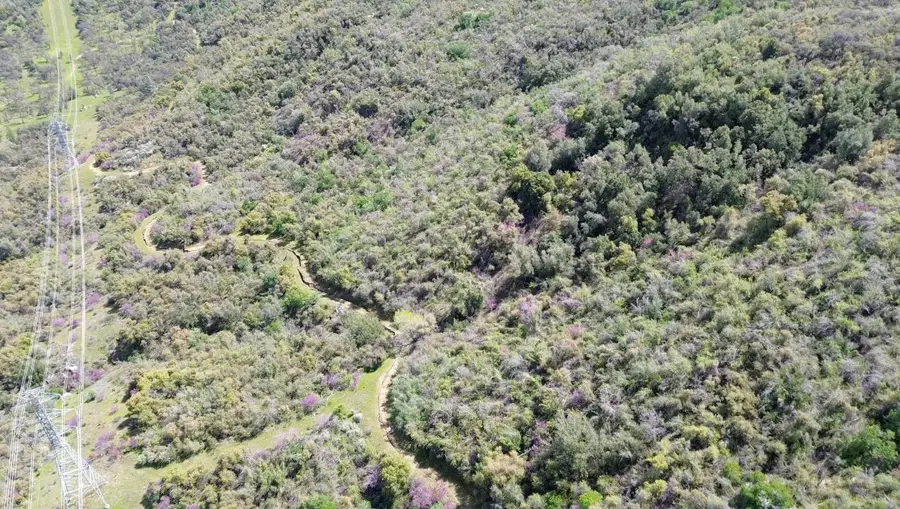 0 NE 1 Lower Rush Creek Road Ne, Shaver Lake, CA 93664 - Image #3