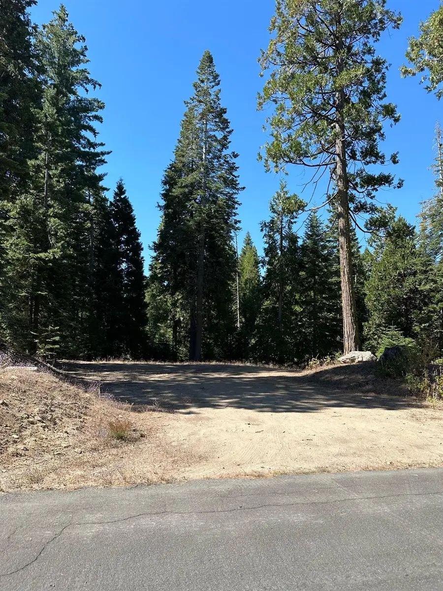 21 Foxglove Lane, Shaver Lake, CA 93664 - Image #3