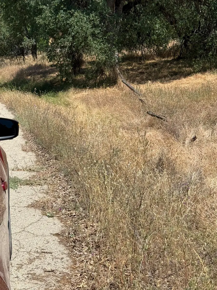 45160 Sand Creek Road, Yokuts Valley, CA 93675 - Image #2