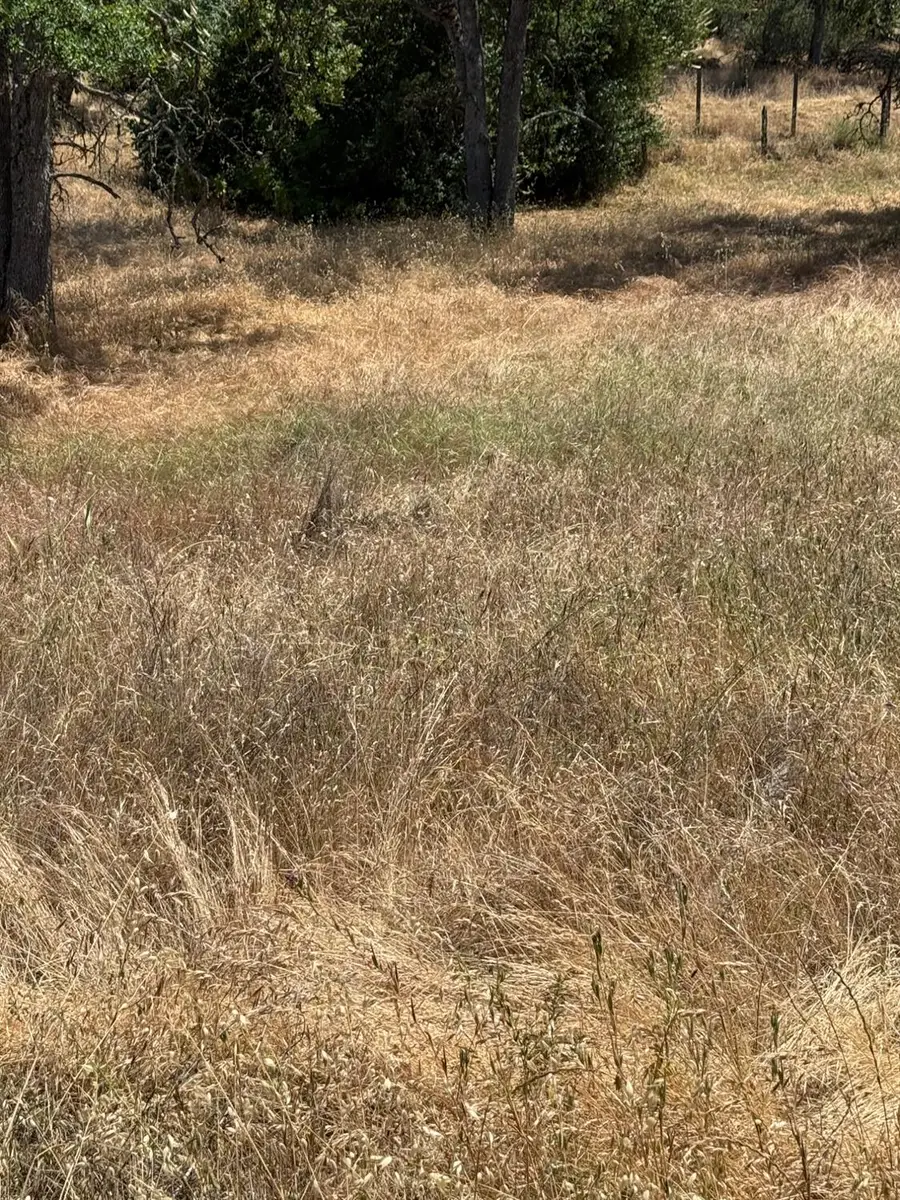 45160 Sand Creek Road, Yokuts Valley, CA 93675 - Image #3