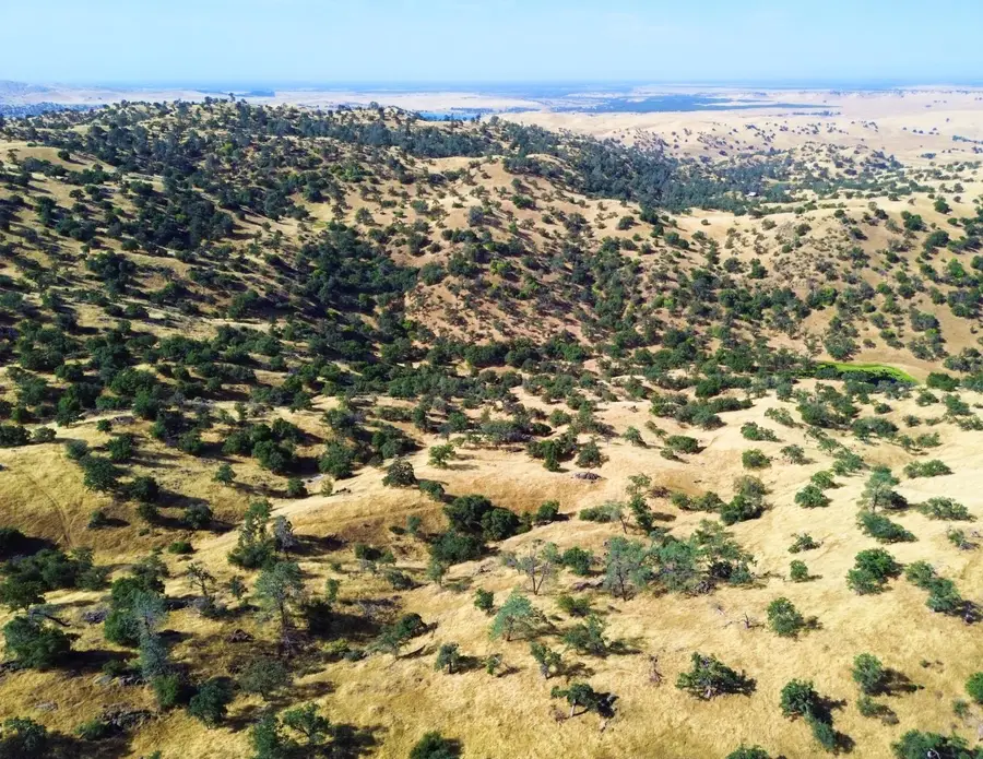 0 No Address, Friant, CA 93626 - Image #3