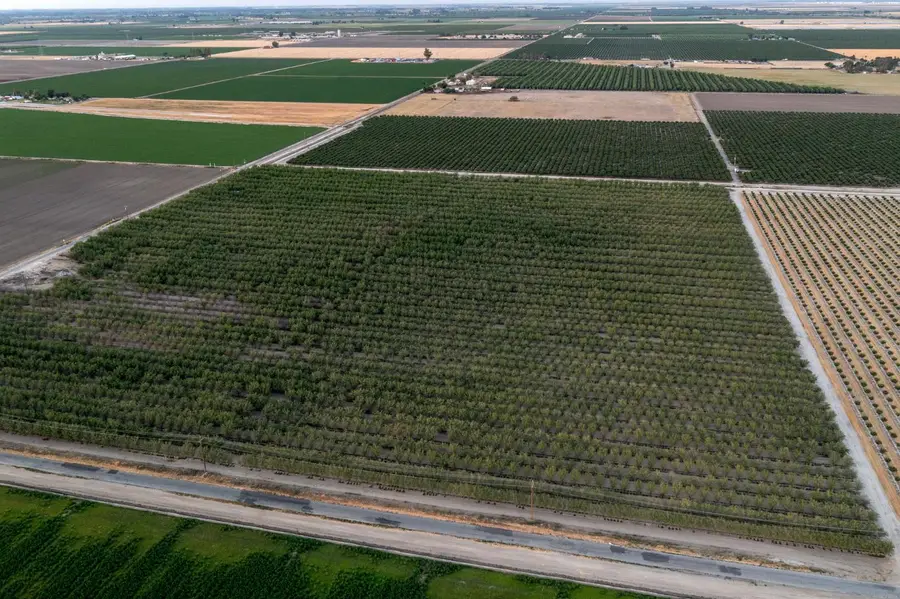 20085 S Hayes Avenue, Riverdale, CA 93656 - Image #2