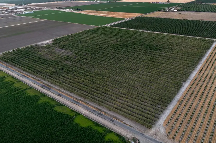 20085 S Hayes Avenue, Riverdale, CA 93656 - Image #3