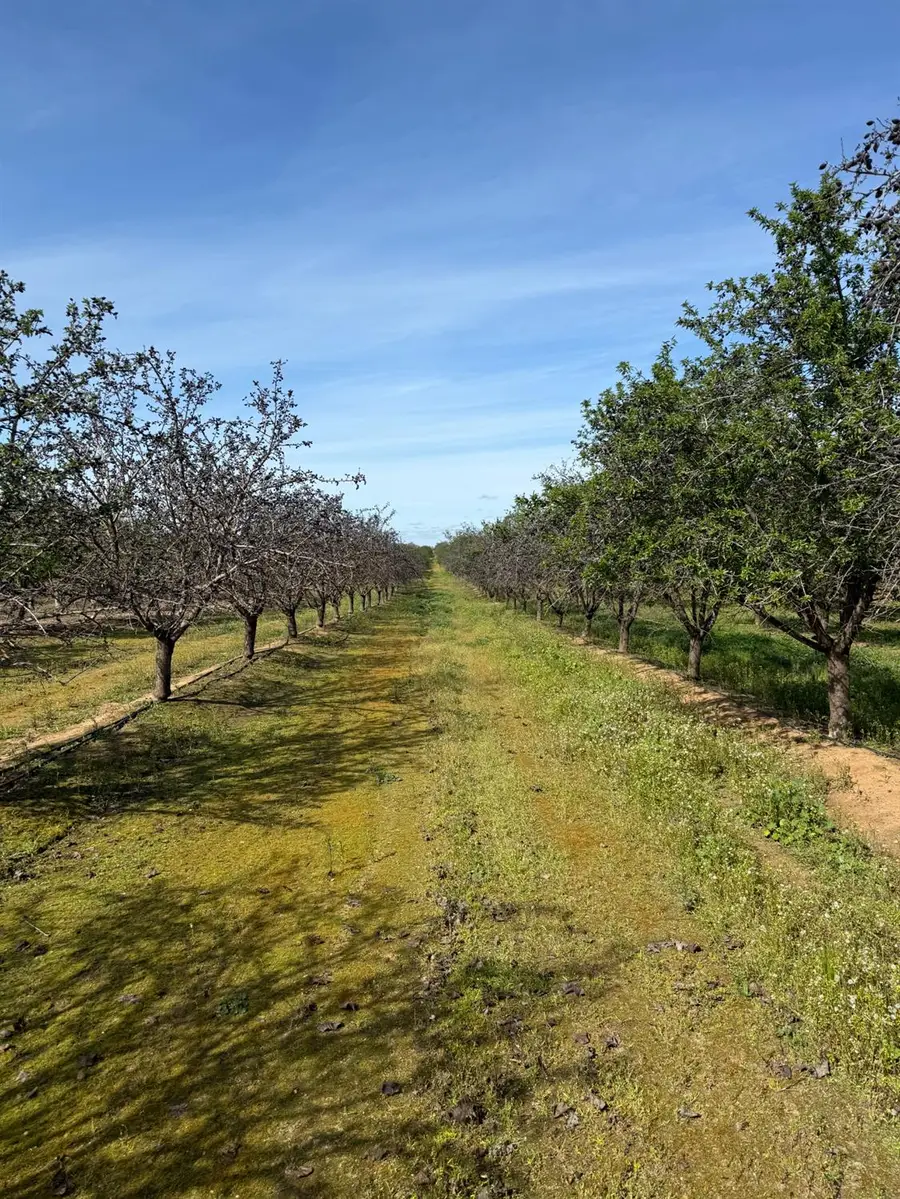 30953 Avenue 20 1/2, Madera, CA 93638 - Image #2