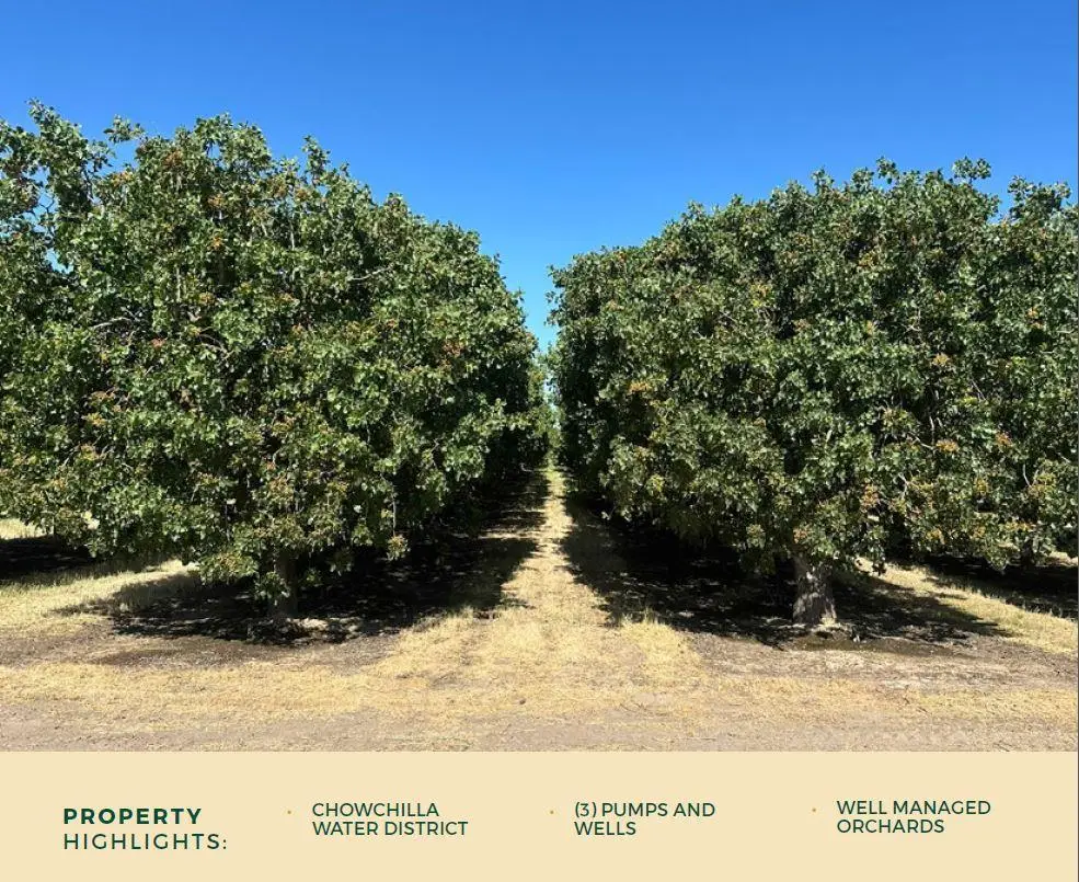 0 Road 11, Chowchilla, CA 93610 - Image #1