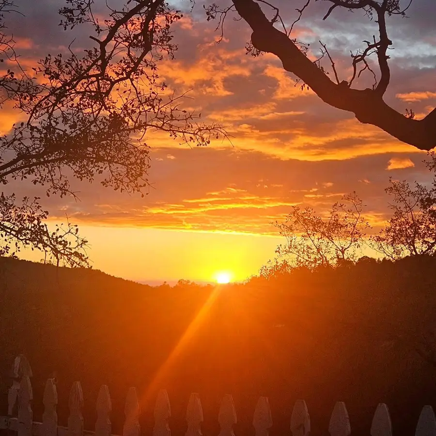 46455 Konklin Road, Coarsegold, CA 93614 - Image #2