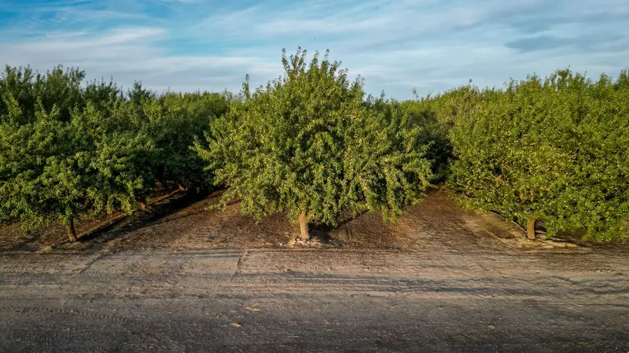 11885 Road 9, Madera, CA 93637 - Image #2