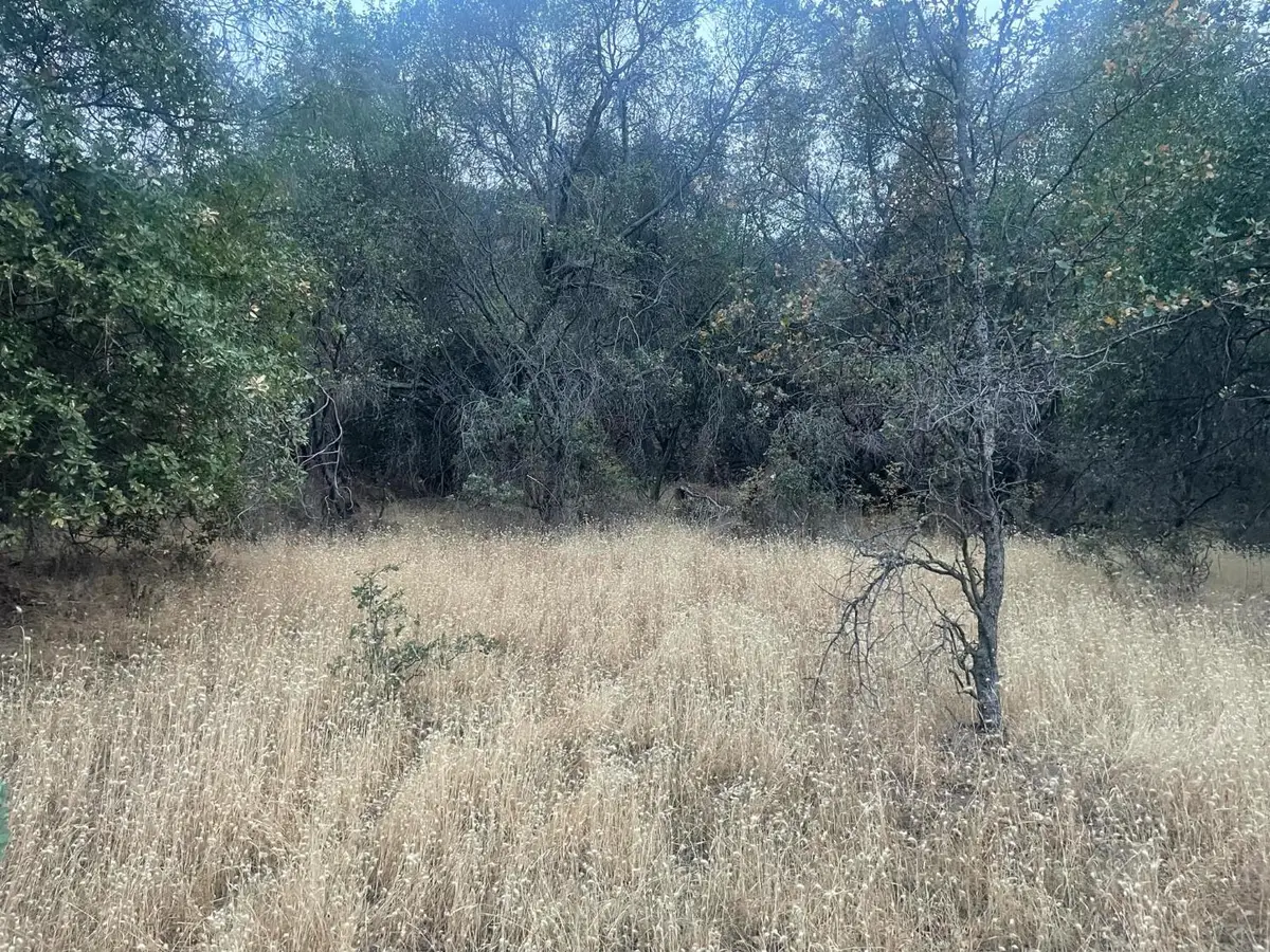 40 Apache Ranch, Ahwahnee, CA 93601 - Image #1