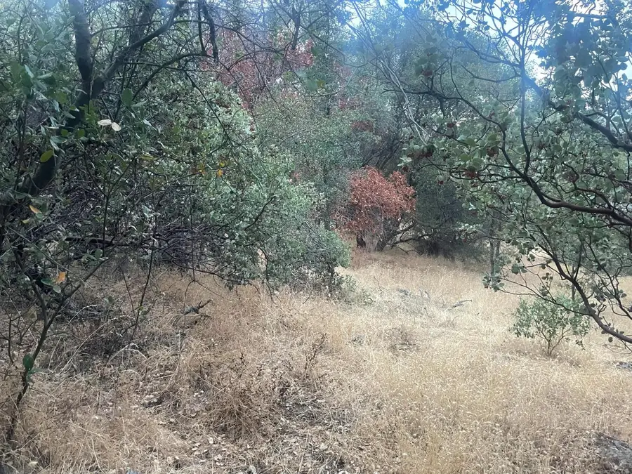 40 Apache Ranch, Ahwahnee, CA 93601 - Image #2