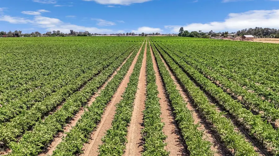 0 S Road 28, Madera, CA 93638 - Image #3