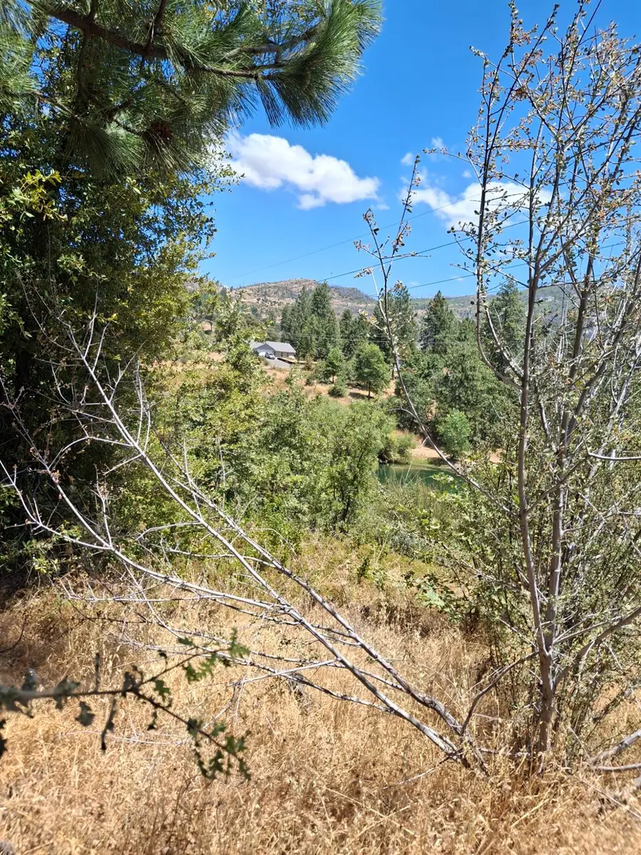 33892 33892 Shaver Springs Road, Auberry, CA 93602 - Image #2