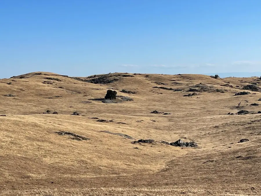 30 Hwy 41, O Neals, CA 93645 - Image #2