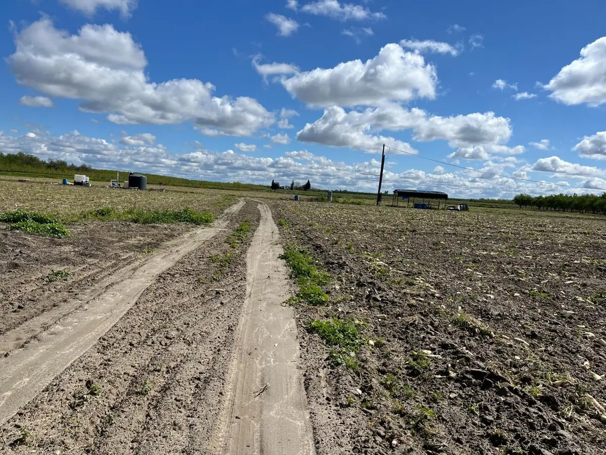 6066 S Cornelia Avenue, Fresno, CA 93706 - Image #1