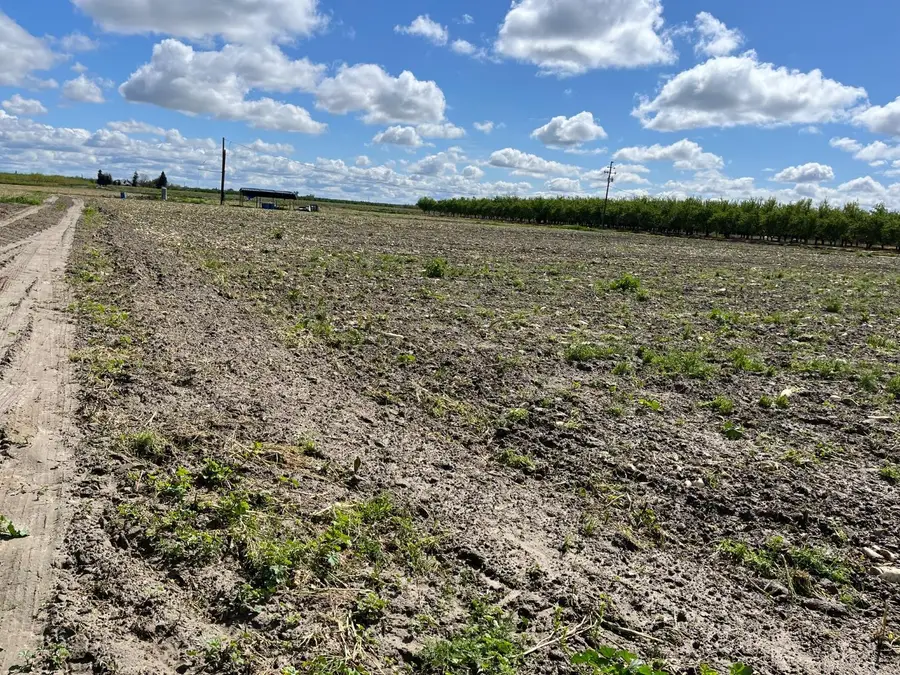 6066 S Cornelia Avenue, Fresno, CA 93706 - Image #2