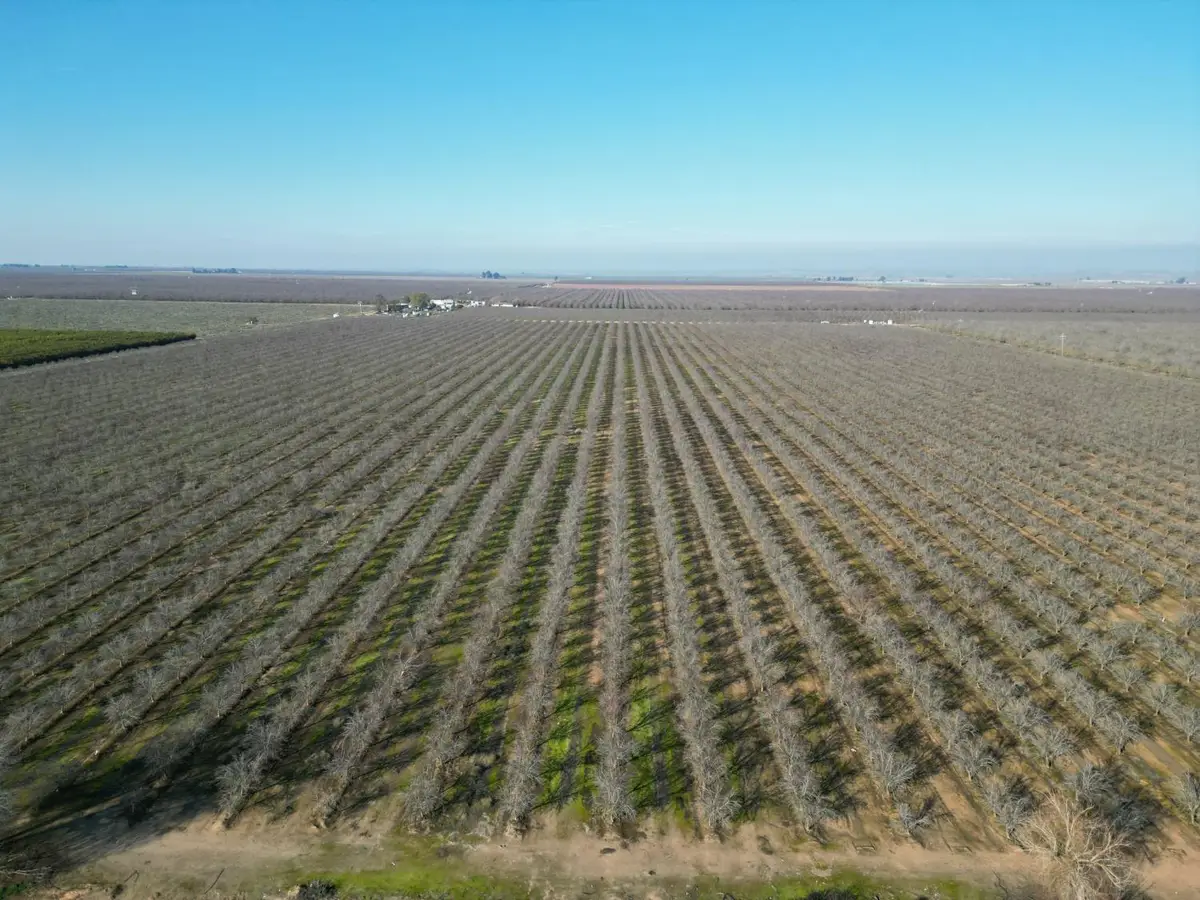 25012 Avenue 24, Chowchilla, CA 93610 - Image #1