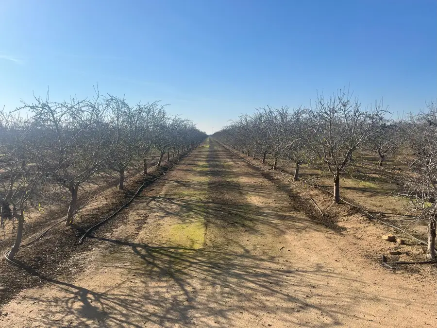 25012 Avenue 24, Chowchilla, CA 93610 - Image #3