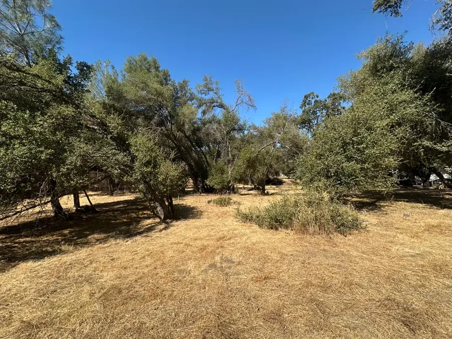 120 Lot Road, Coarsegold, CA 93614 - Image #2