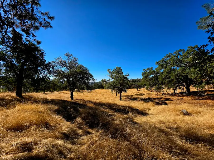 1 Lilley Mountain Drive, Coarsegold, CA 93614 - Image #2