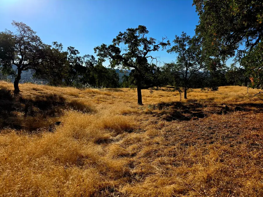 1 Lilley Mountain Drive, Coarsegold, CA 93614 - Image #3