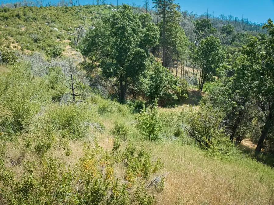 11111 Peterson Road, Auberry, CA 93602 - Image #2