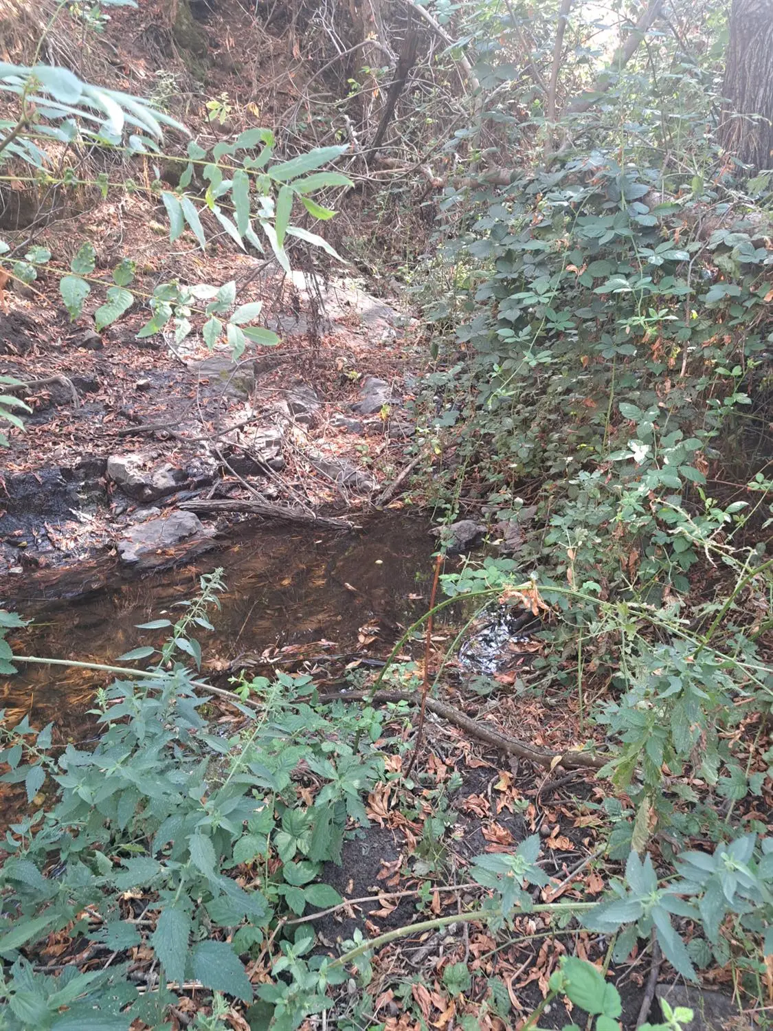 38168 Barberry Lane, Yokuts Valley, CA 93675 - Image #1